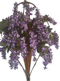 Large Wisteria Wall Spray